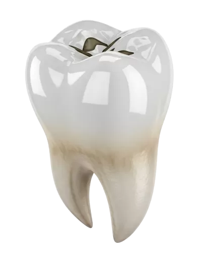 Imagen PNG para descargar